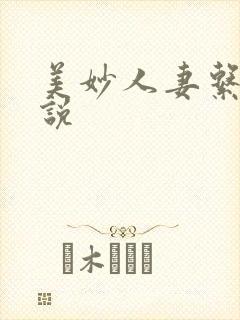 美妙人妻系列小说