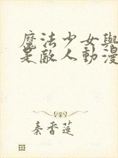 魔法少女与恶曾是敌人动漫