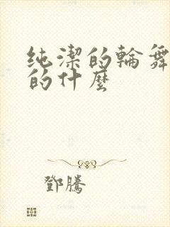 纯洁的轮舞曲讲的什么