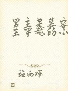 男主是慕容冲女主穿越的小说