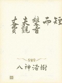 丈夫双面短剧免费观看封面