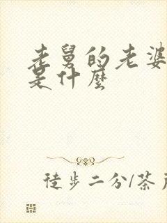 老舅的老婆结局是什么封面