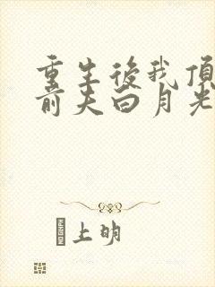 重生后我顶替了前夫白月光全