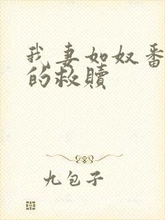 我妻如奴番外琳的救赎