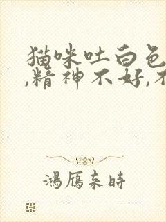 猫咪吐白色泡沫,精神不好,不吃东西