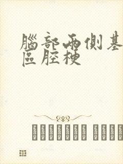 脑部两侧基底节区腔梗