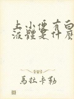 上小便有白色的液体是什么原因