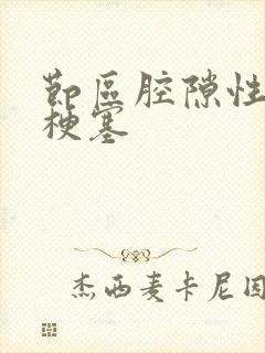 节区腔隙性脑腔梗塞