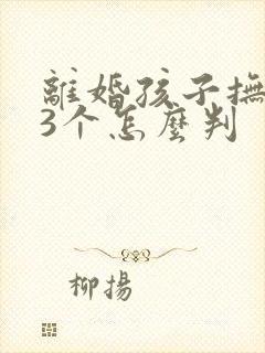 离婚孩子抚养权3个怎么判