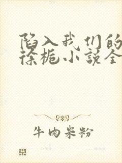 陷入我们的热恋徐栀小说全篇封面