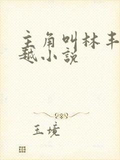 主角叫林丰的穿越小说