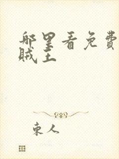 哪里看免费的海贼王