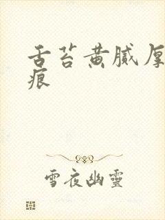 舌苔黄腻厚有齿痕封面