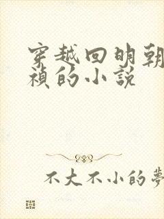 穿越回明朝当崇祯的小说