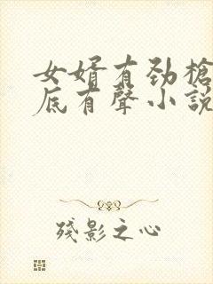 女婿有劲枪枪到底有声小说封面