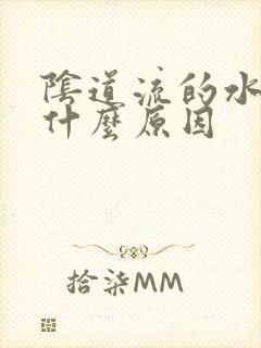 阴道流的水臭是什么原因