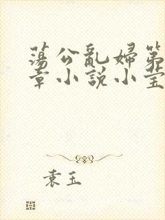 荡公乱妇第51章小说小莹封面