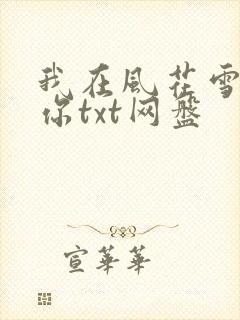 我在风花雪月等你txt网盘封面
