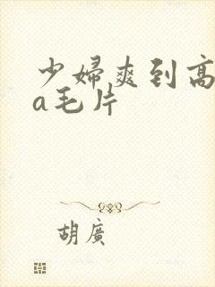 少妇爽到高潮的a毛片