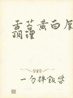 舌苔黄白厚怎么调理