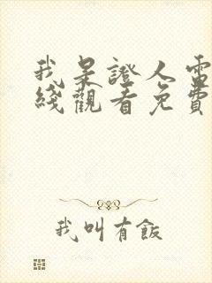 我是证人电影在线观看免费完整版