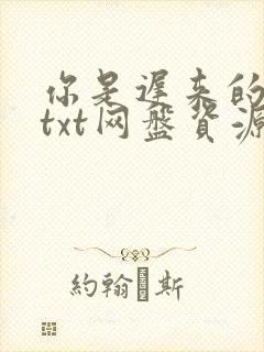 你是迟来的欢喜txt网盘资源