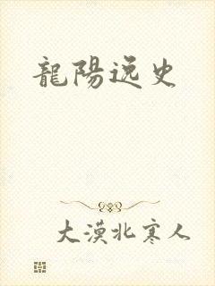龙阳逸史封面