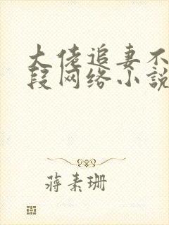 大佬追妻不择手段网络小说