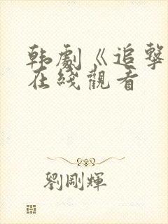 韩剧《追击者》在线观看