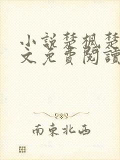 小说楚枫楚月全文免费阅读完整版