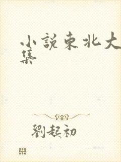 小说东北大炕全集