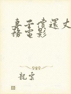 妻子偿还丈夫债务电影封面