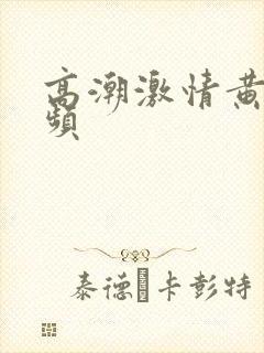 高潮激情黄片视频