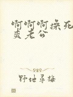 啊啊啊操死我好爽老公