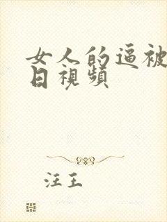 女人的逼被男人日视频