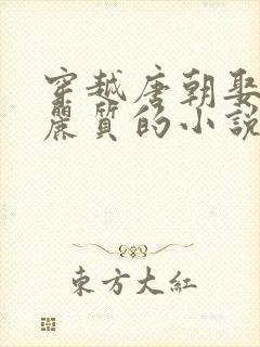 穿越唐朝娶了李丽质的小说