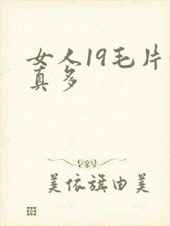 女人19毛片水真多封面
