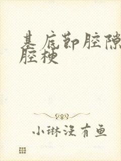 基底节腔隙性脑腔梗