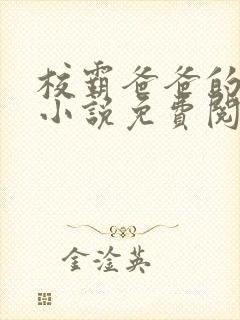 校霸爸爸的秘密小说免费阅读