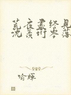 荒夜尽终见云霞沈羡珩岑落免费阅读