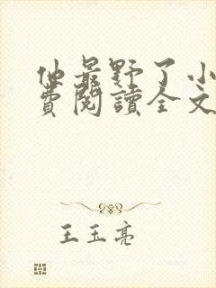 他最野了小说免费阅读全文封面