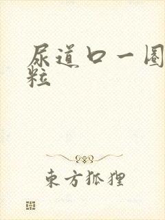 尿道口一圈小肉粒