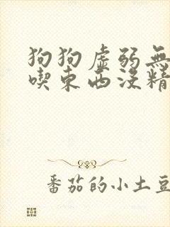 狗狗虚弱无力不吃东西没精神封面