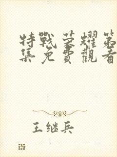 特战荣耀第25集免费观看