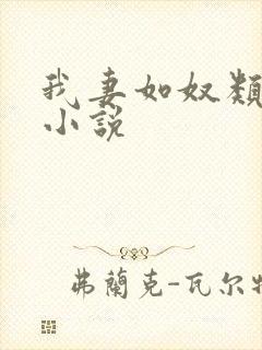 我妻如奴类似的小说