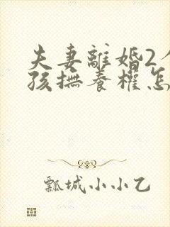 夫妻离婚2个小孩抚养权怎么判