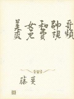 美女和帅哥操个爽免费视频观看