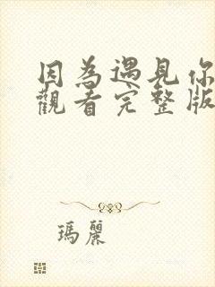 因为遇见你在线观看完整版免费