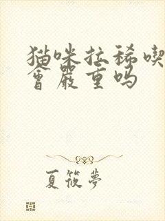 猫咪拉稀吃蛋黄会严重吗