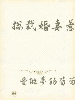 总裁婚妻惹人爱